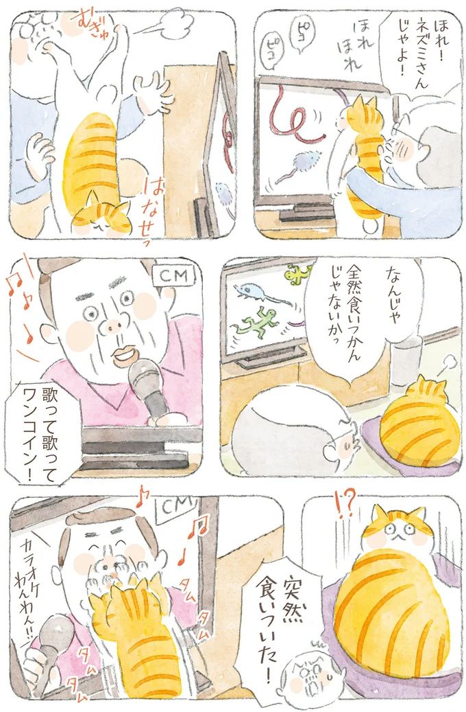 16341788.webp