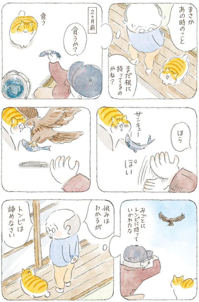 16341786.webp