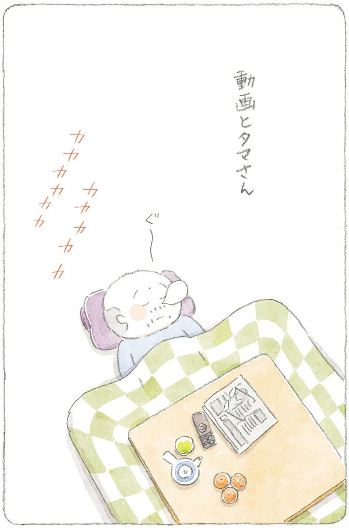 16341782.webp