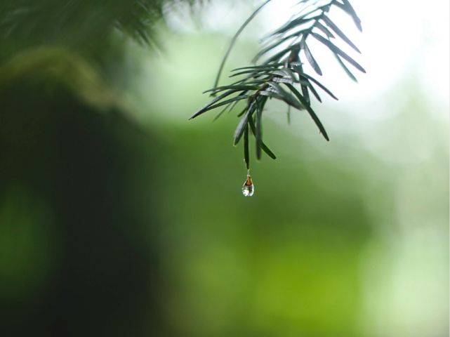雫