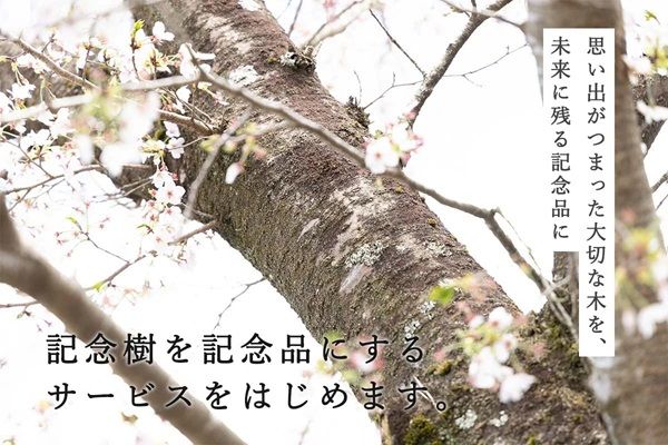 伐採された記念樹などから記念品を製作するサービス開始！職人が手仕事で仕立てる宝物