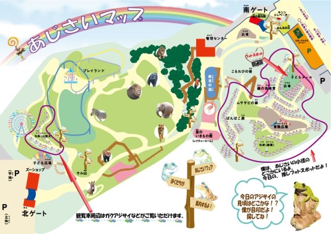 到津の森公園 あじさい