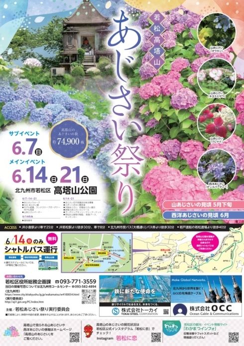 若松 あじさいまつり 高塔山公園