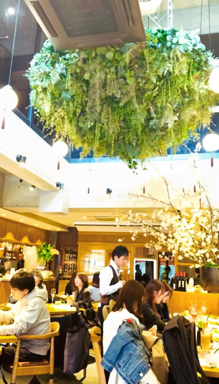 表参道駅近くにあるイタリア料理の名店「TRATTORIA庭」店内