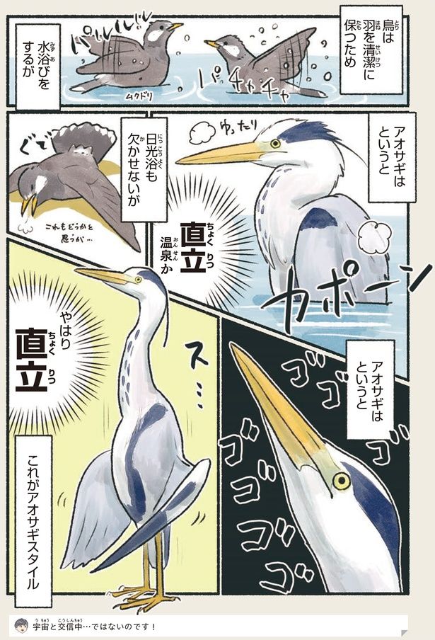 やはり直立 （C）piro piro piccolo／KADOKAWA