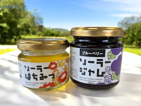【神奈川県相模原市】500円玉大の大粒ブルーベリーも！「さがみこベリーガーデン」ブルーベリー狩り6/6開始