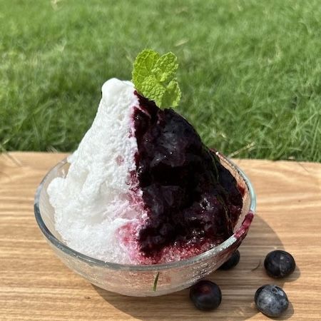 【神奈川県相模原市】500円玉大の大粒ブルーベリーも！「さがみこベリーガーデン」ブルーベリー狩り6/6開始