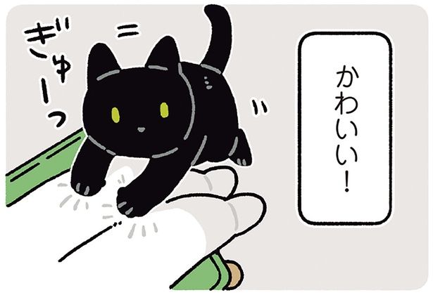早くかまって （C）AKR／KADOKAWA
