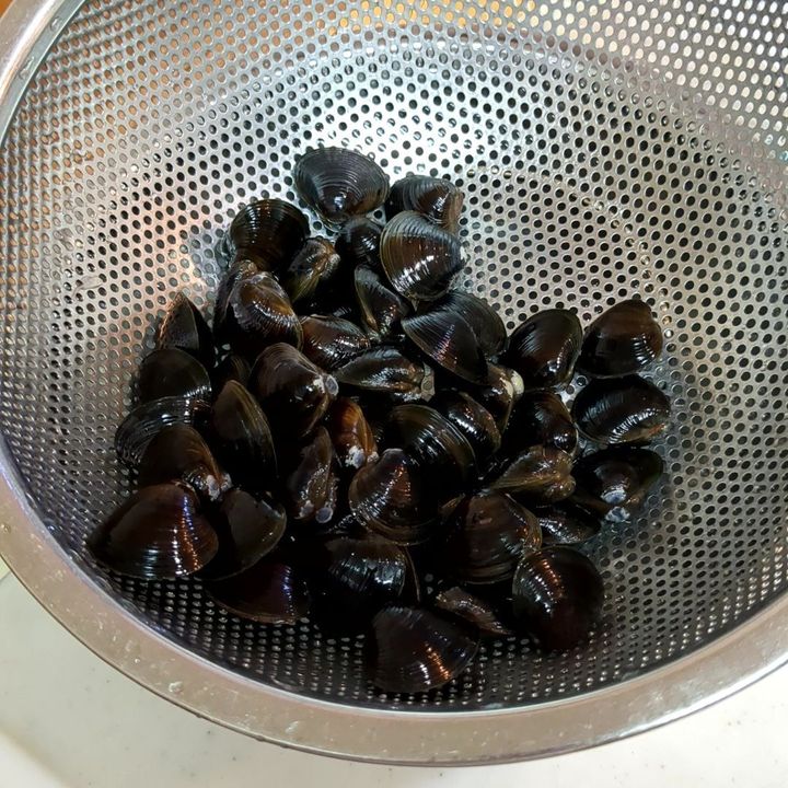 本日のしじみです！