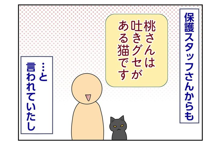 【マンガ・老猫日誌＃91】桃姐の吐く頻度が多かった頃〜思い出の老猫日誌・桃姐と小論