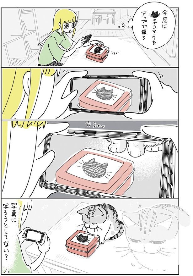 写ろうとしてない？ （C）キュルZ／KADOKAWA