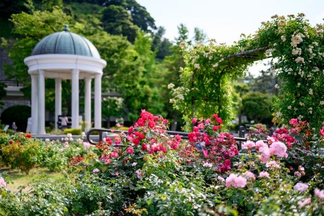 ヴェルニー公園
