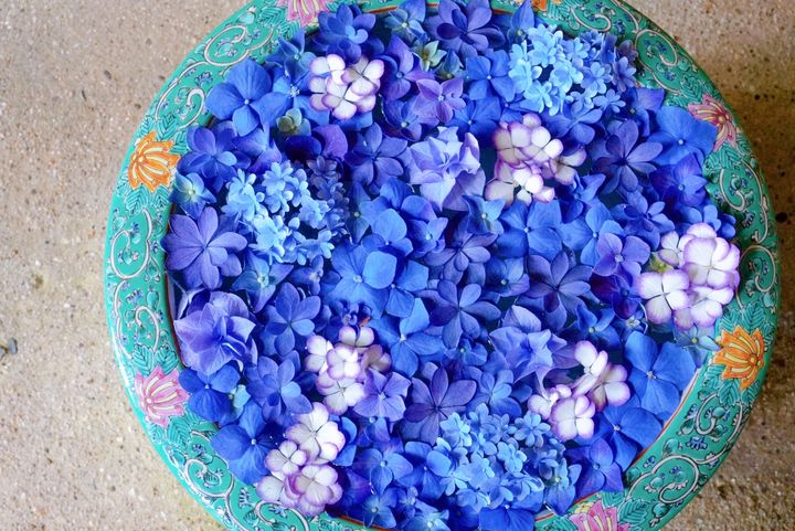 鎌倉の「一条恵観山荘」の紫陽花花手水
