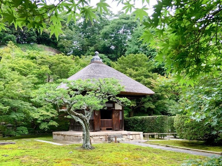 鎌倉の「長寿寺」の新緑
