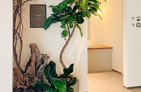 【愛知県名古屋市】限定6室の限定コンセプトルームOPEN。「植物のある暮らし」の心地よさを体感