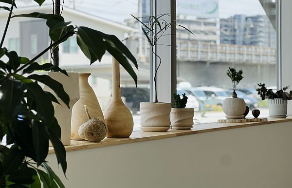 【愛知県名古屋市】限定6室の限定コンセプトルームOPEN。「植物のある暮らし」の心地よさを体感
