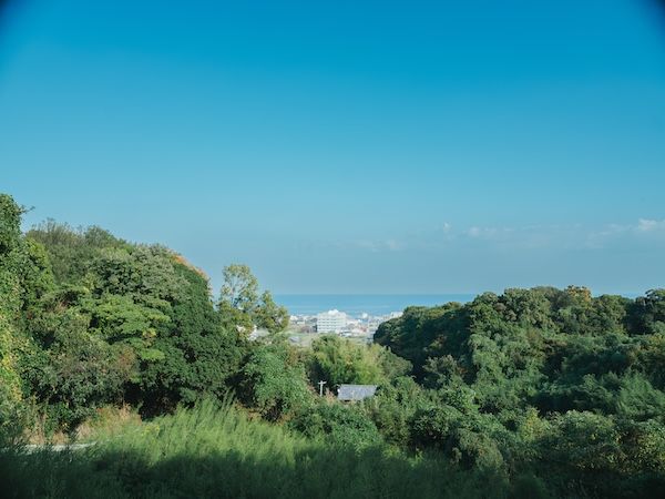淡路島の耕作放棄地を再生し、香りへと変換。精油ブランド「maf」が3製品を発表