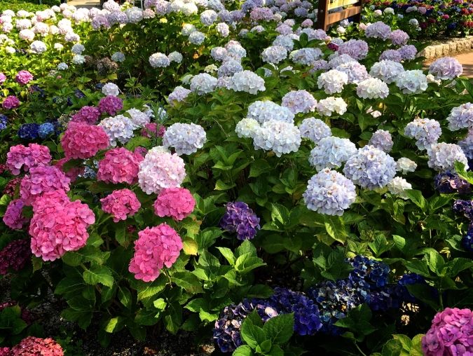高塔山公園