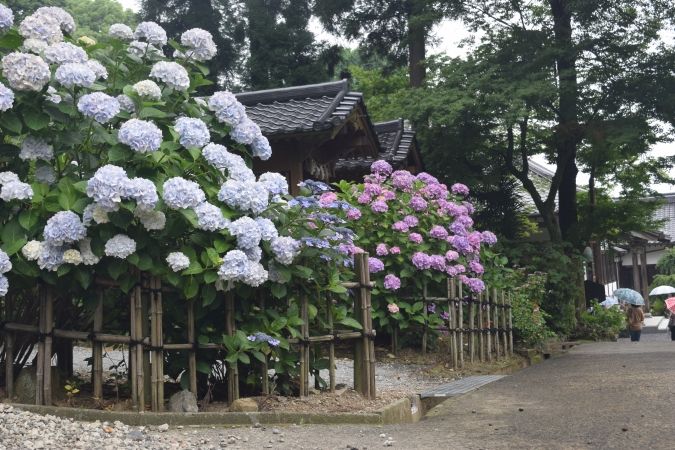 千光寺