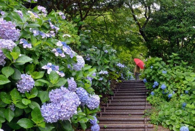 白野江植物公園