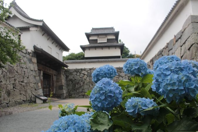 福岡あじさいスポット 舞鶴公園