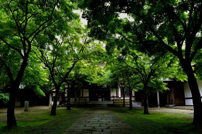 呑山観音寺緑