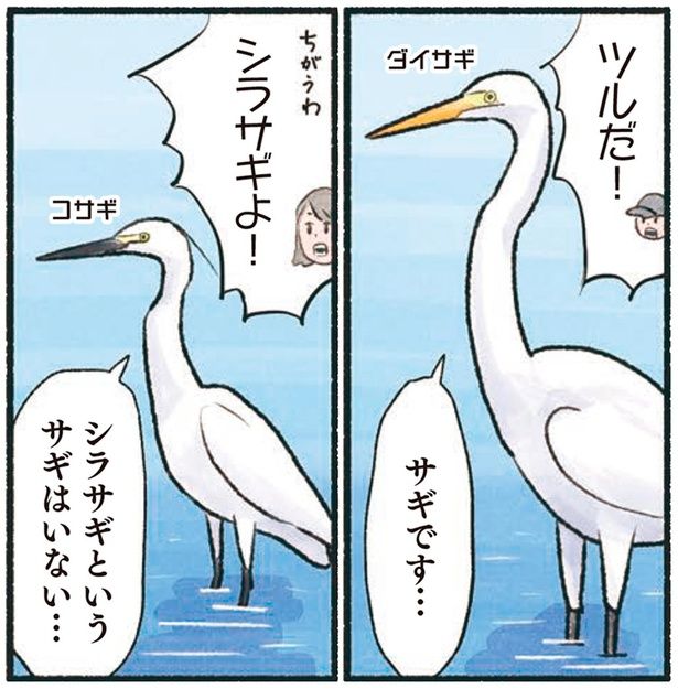 シラサギというサギはいない… （C）piro piro piccolo／KADOKAWA