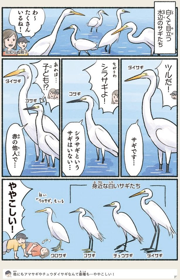 ややこしい！ （C）piro piro piccolo／KADOKAWA
