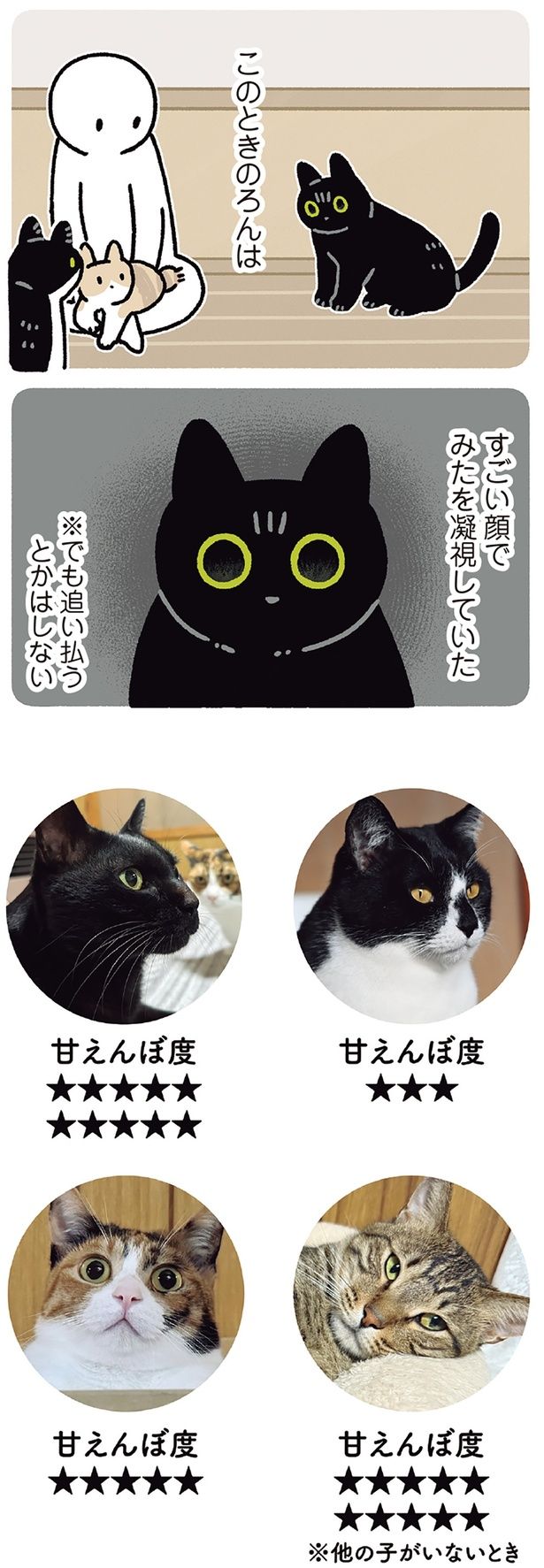 このときのろんは （C）AKR／KADOKAWA