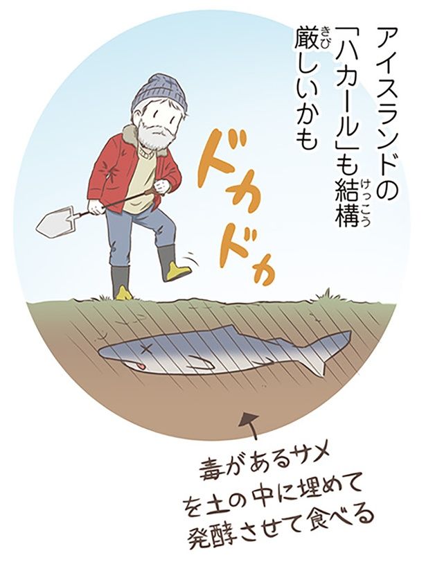 アイスランドの「ハカール」も結構厳しいかも （C）オーサ・イェークストロム／KADOKAWA
