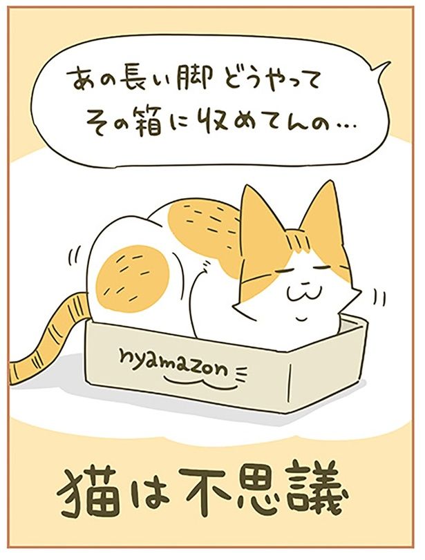 猫は不思議 （C）卵山玉子／KADOKAWA