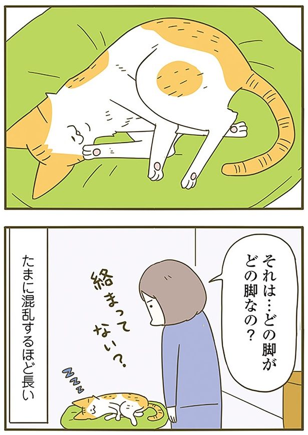 どの脚なの？ （C）卵山玉子／KADOKAWA