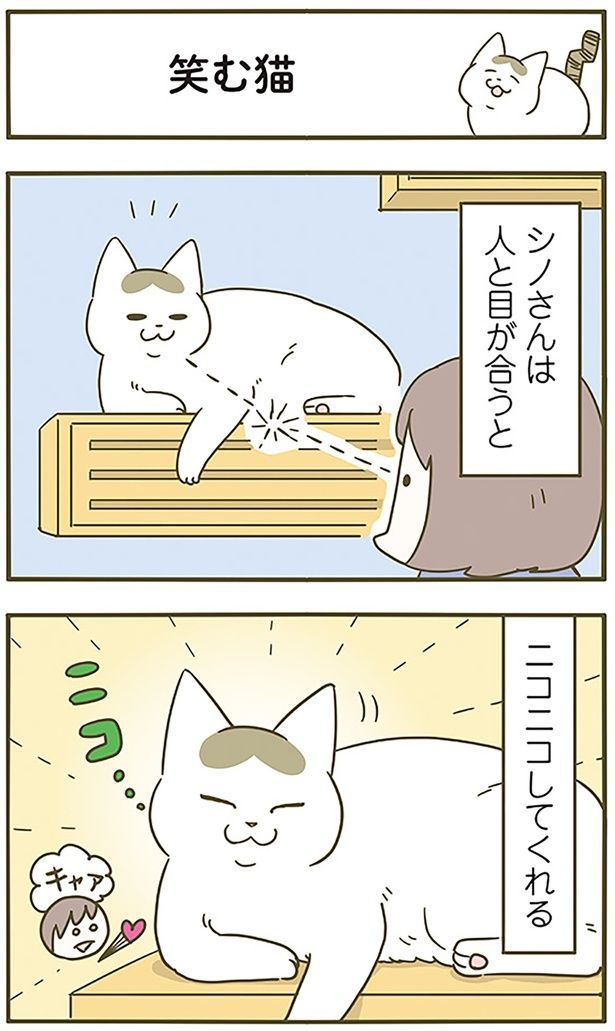 笑む猫 （C）卵山玉子／KADOKAWA
