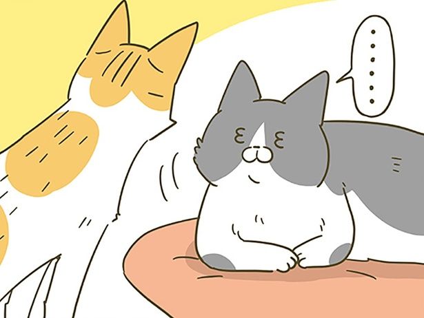 絡まれた猫は… （C）卵山玉子／KADOKAWA