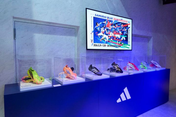 スパイク展示