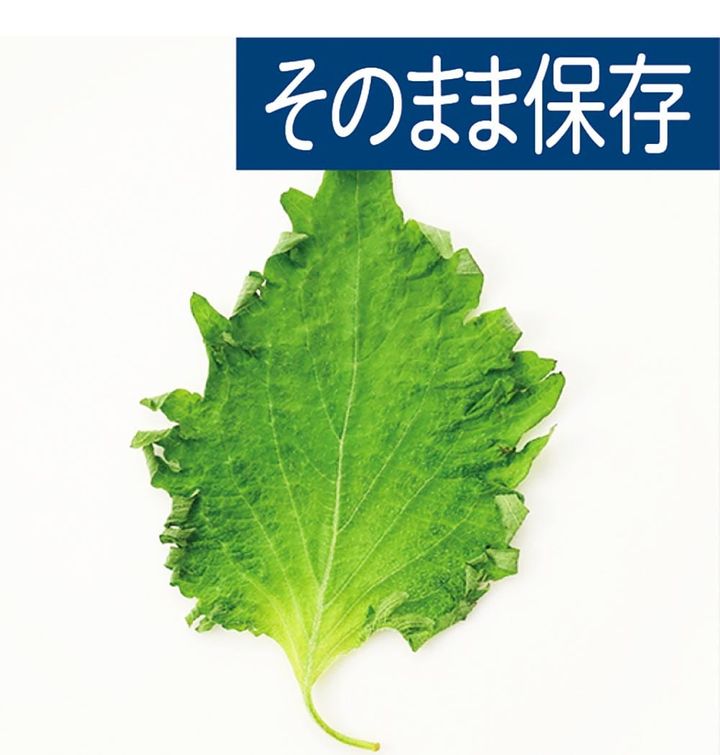 ダイソー「キッチン透明冷蔵庫容器(メッシュトレー付)」 イメージ