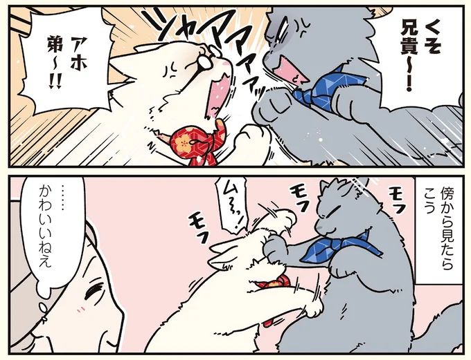 16258917.webp