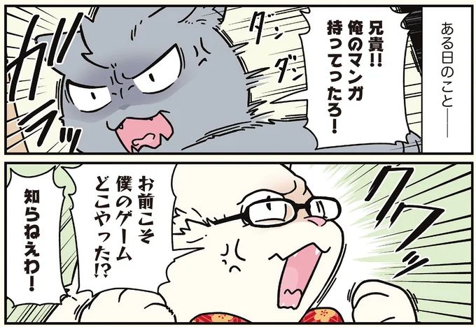 16258916.webp
