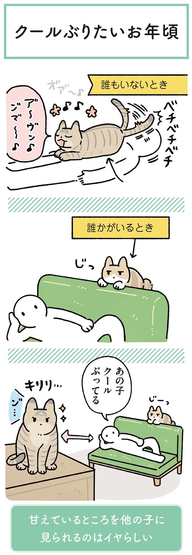 クールぶりたいお年頃 （C）AKR／KADOKAWA