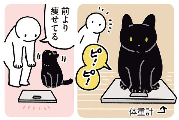 前より痩せてる （C）AKR／KADOKAWA
