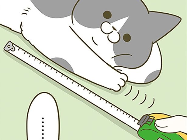 測ってみるも （C）卵山玉子／KADOKAWA