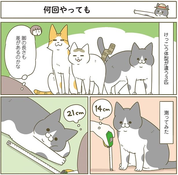 何回やっても （C）卵山玉子／KADOKAWA