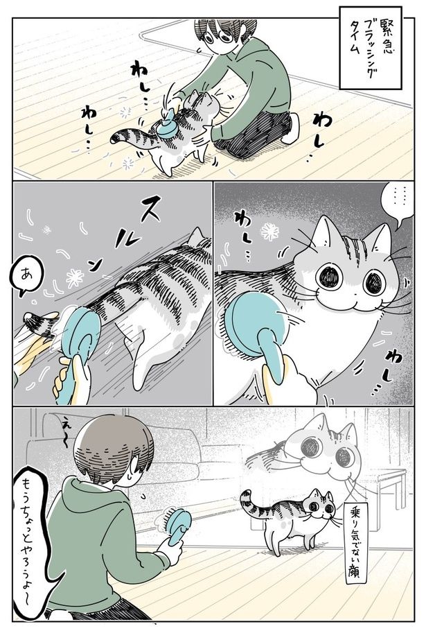 02 画像提供：キュルZ@kyuryuZ