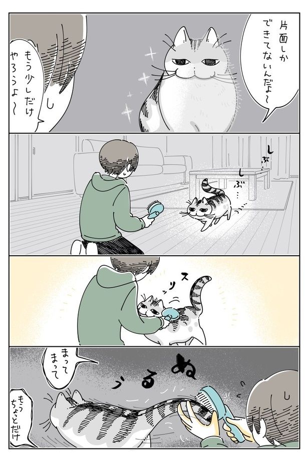03 画像提供：キュルZ@kyuryuZ