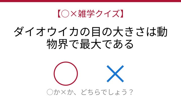 【○×雑学クイズ】これ本当？深海の怪物が持つ驚異のサイズの問題画像