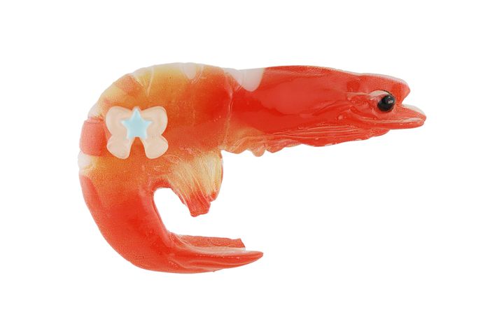 そこにいるだけで胸がキュン…。かわいいが過ぎるときめきスポット