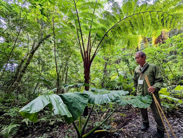 世界自然遺産の森を傷つけないよう注意深く歩きます
