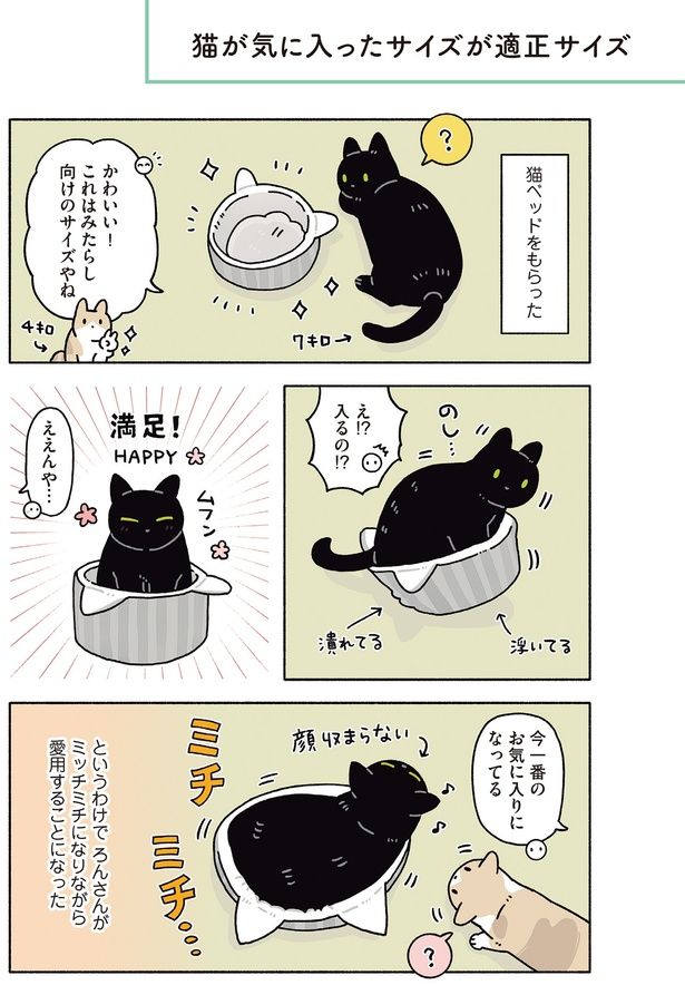 猫が気に入ったサイズが適正サイズ （C）AKR／KADOKAWA