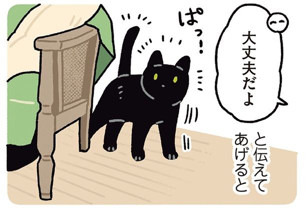 大丈夫だよ」を全力で信じてくれる。飼い主にまっすぐな信頼を向ける黒