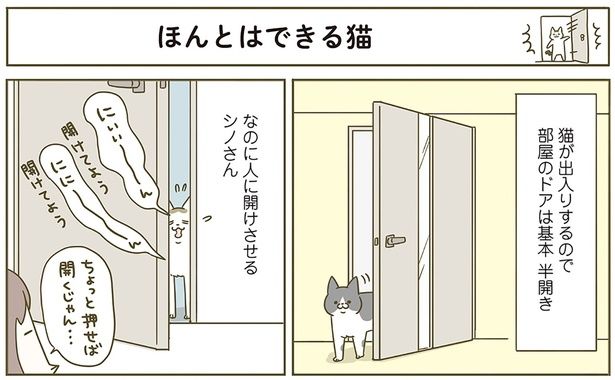 ほんとはできる猫 （C）卵山玉子／KADOKAWA